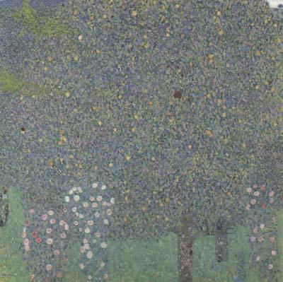 Gustav Klimt Rose Bushes Under the Trees (mk20)